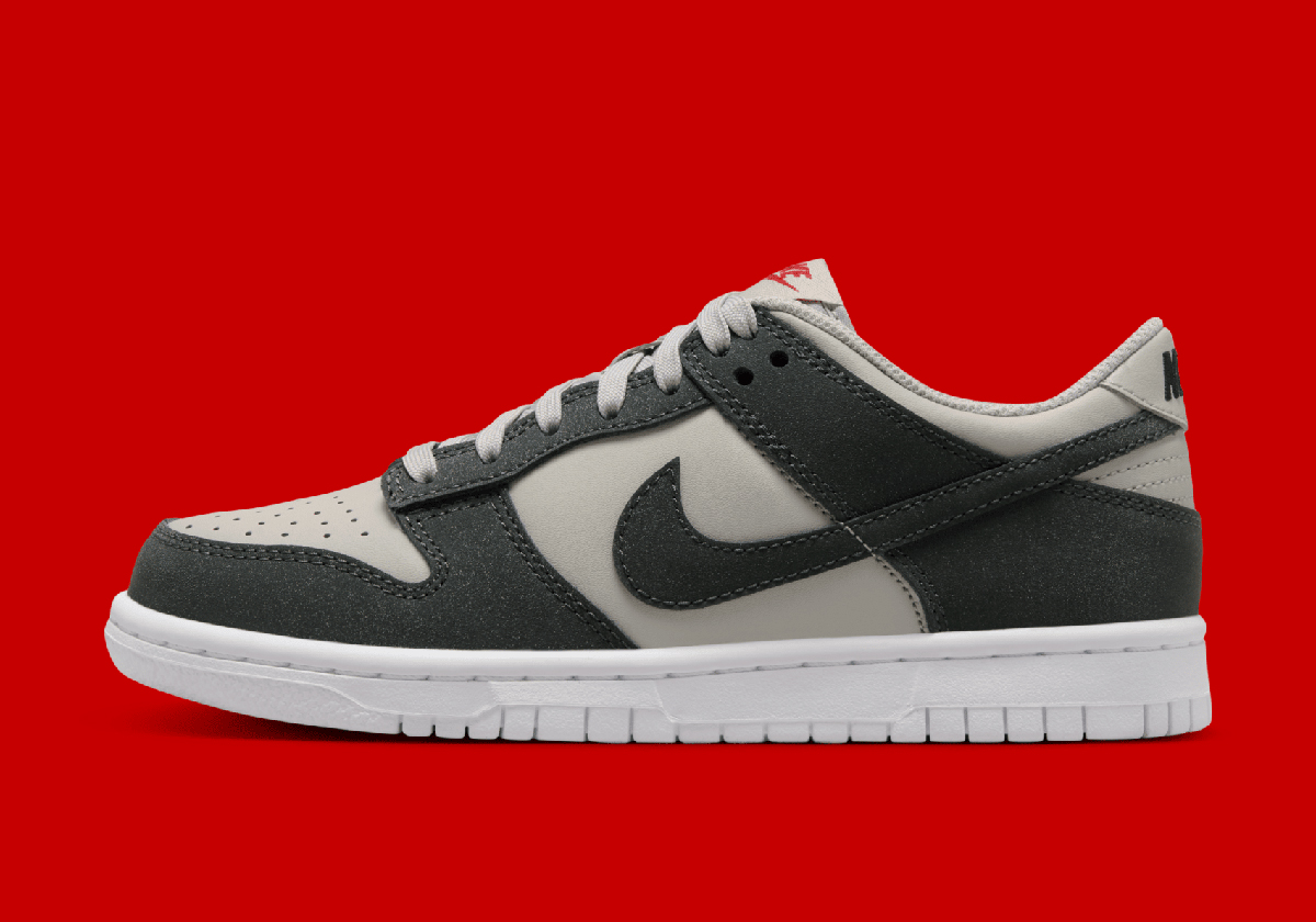 Nike Dunk Low Gs Light Iron Ore Anthracite White Gym Red Fz1000 001 3