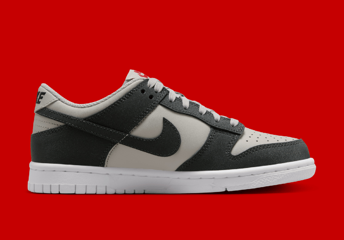 Nike Dunk Low Gs Light Iron Ore Anthracite White Gym Red Fz1000 001 6