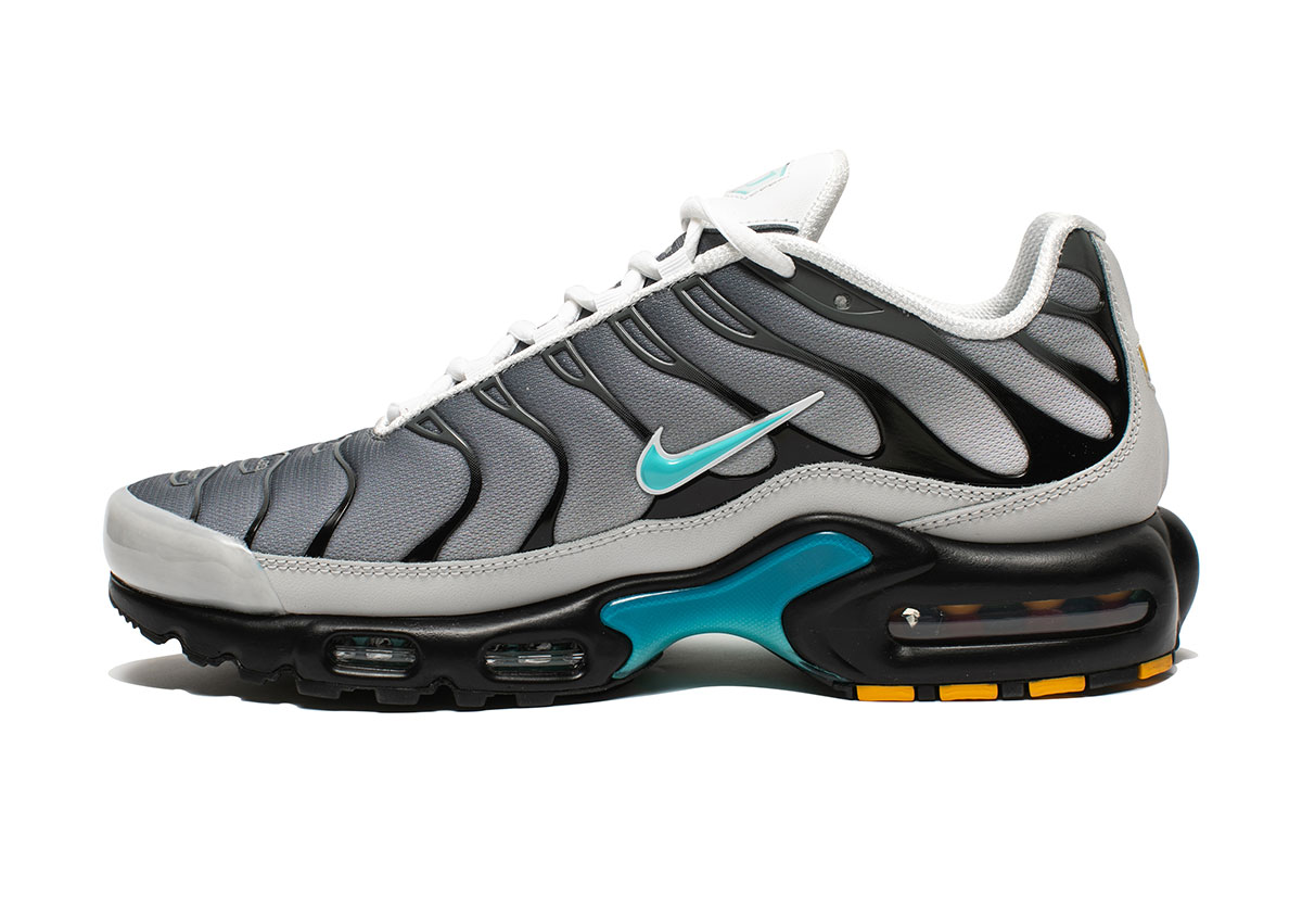 One Block Down Nike Air Max Plus Clear Fog Fz3308 0011