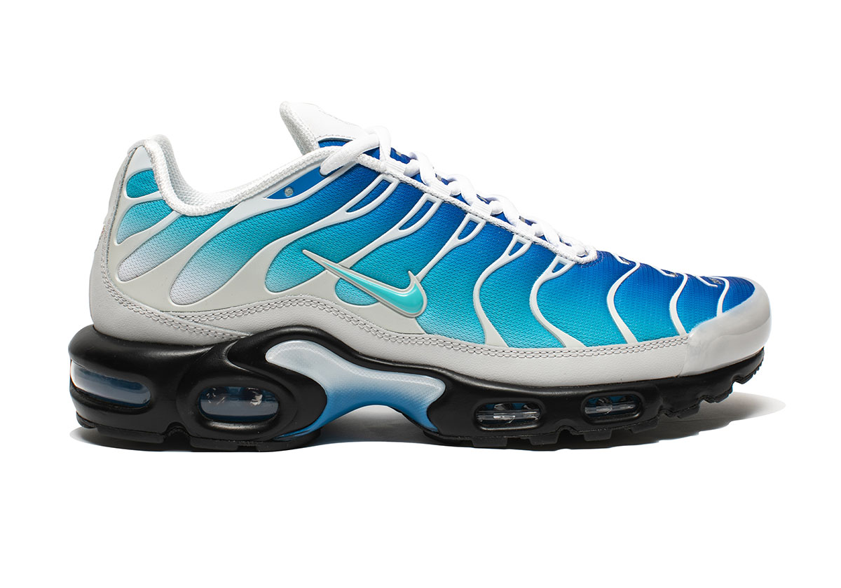 One Block Down Nike Air Max Plus Dry Water Fz3308 400 5