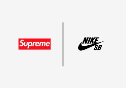 Supreme x Nike SB Dunk Low Releasing In 2025