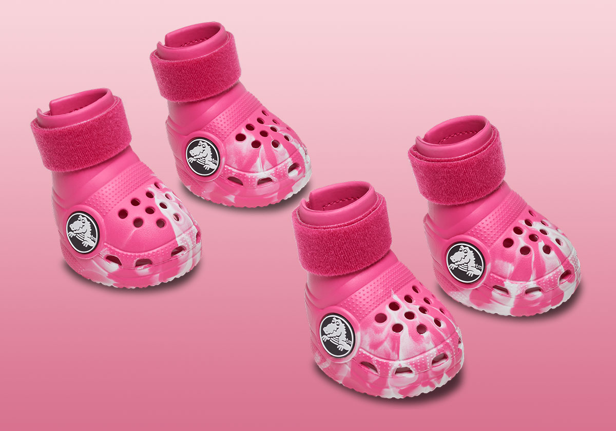 Dog Crocs Pink 211352 6zq 3