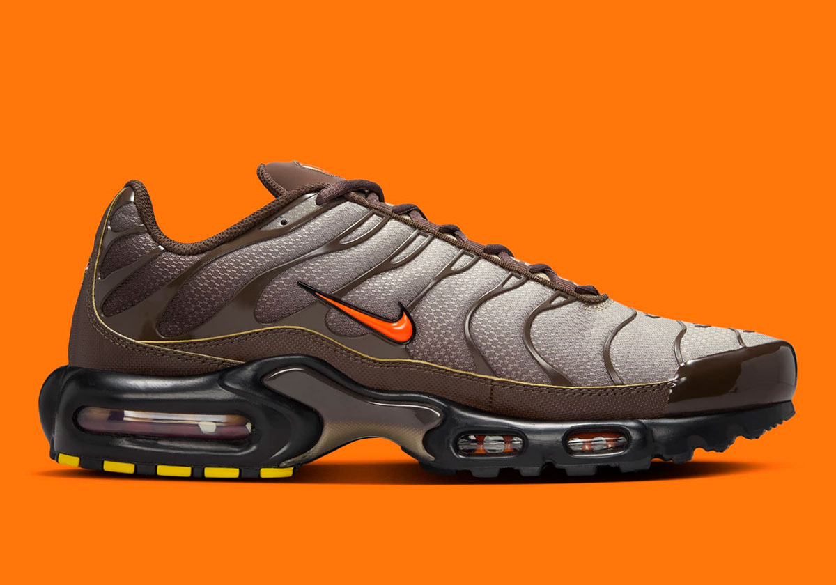 Nike Air Max Plus Brown Orange Dm0032 200 7