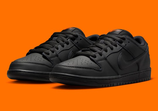 Official Images Of The Nike SB Dunk Low Pro ISO “Black”