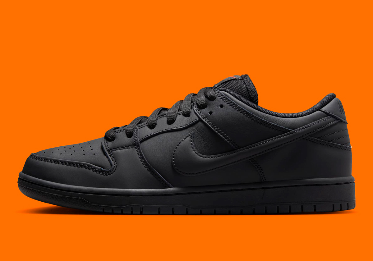 Nike Sb Dunk Low Black Fj1674 001 8