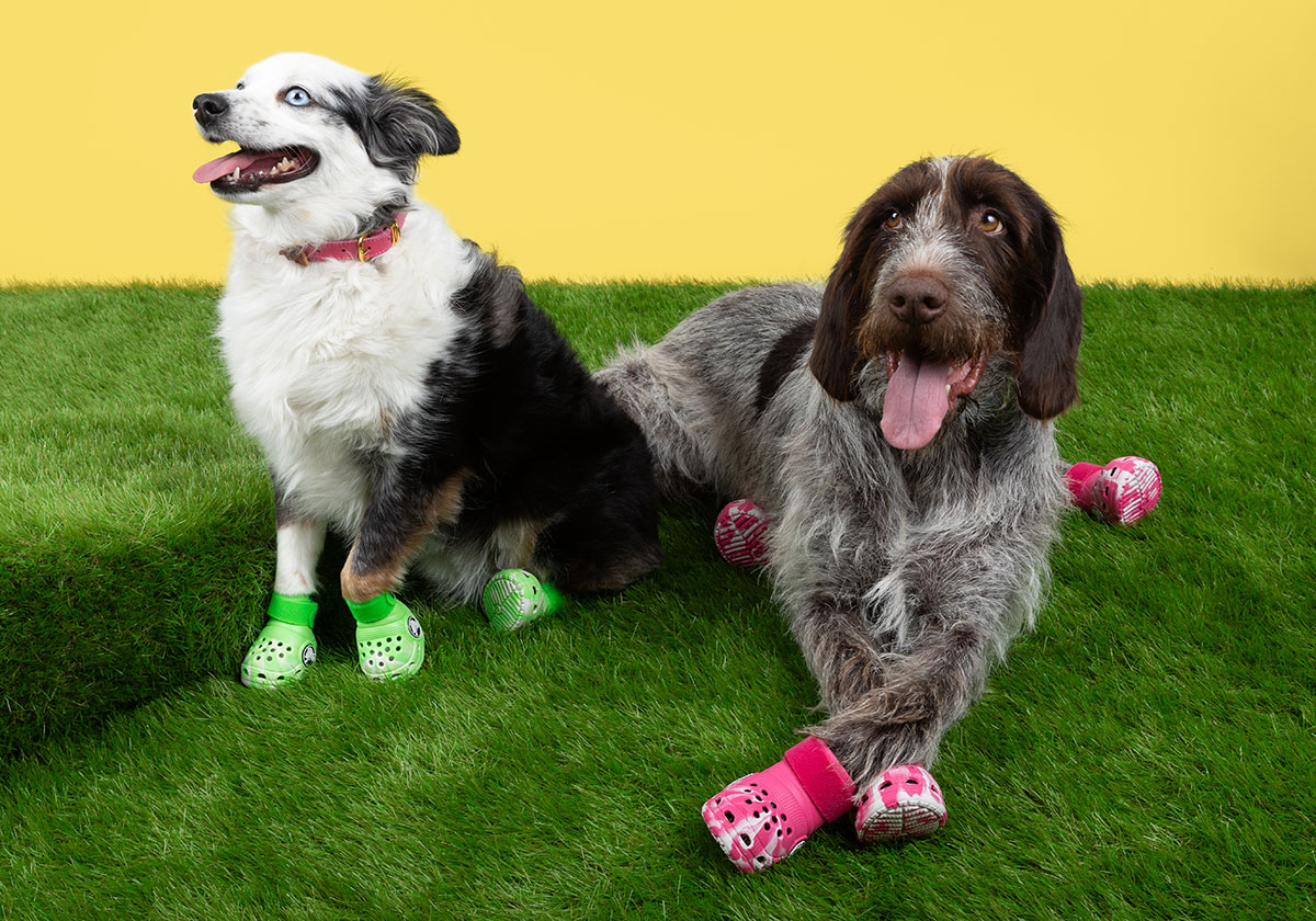 Crocs Is Releasing Shoes For Dogs