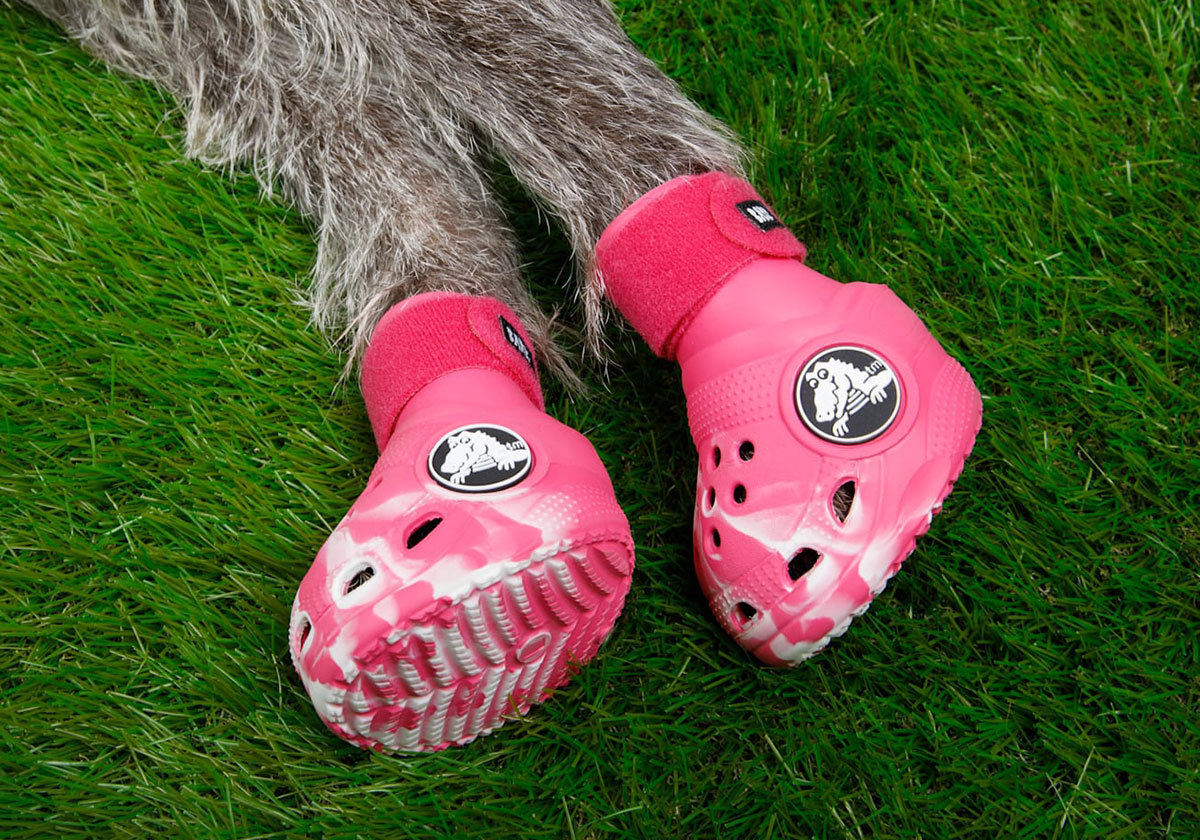 Pet Crocs For Dogs Release Date 10