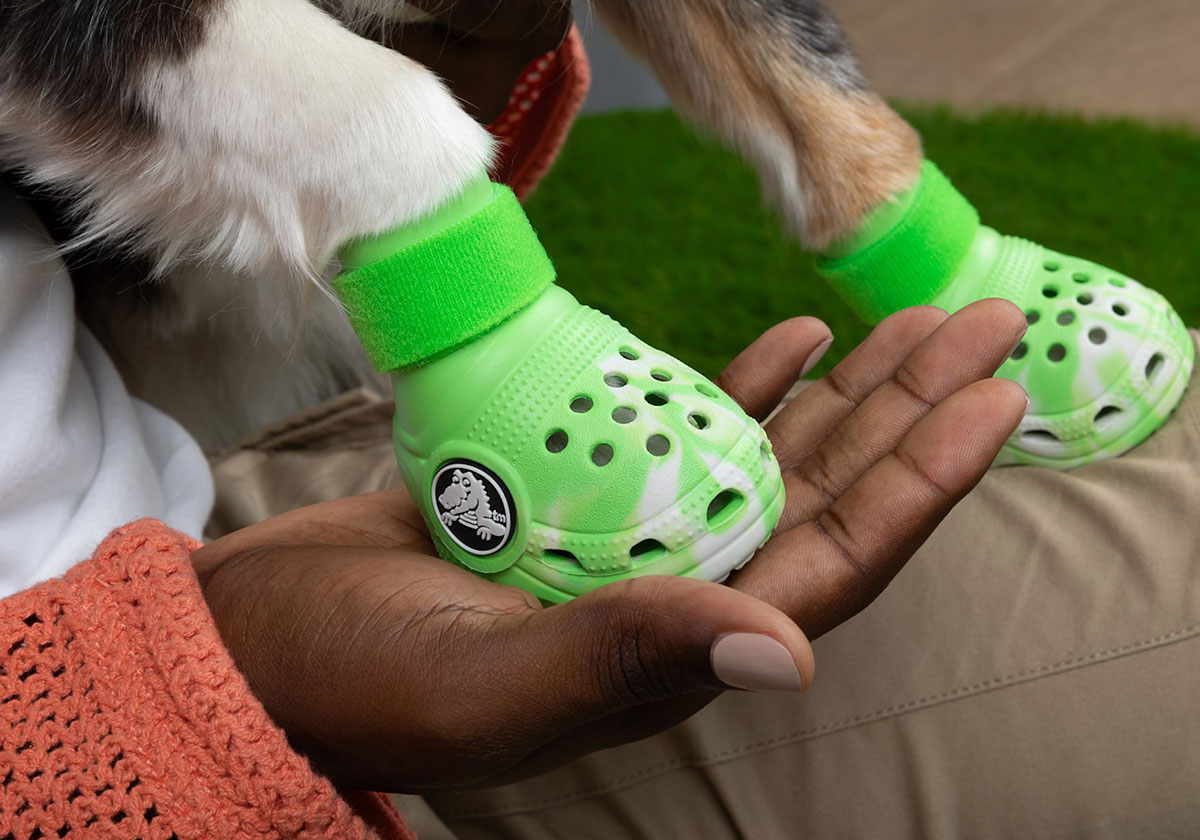 Puppy crocs best sale