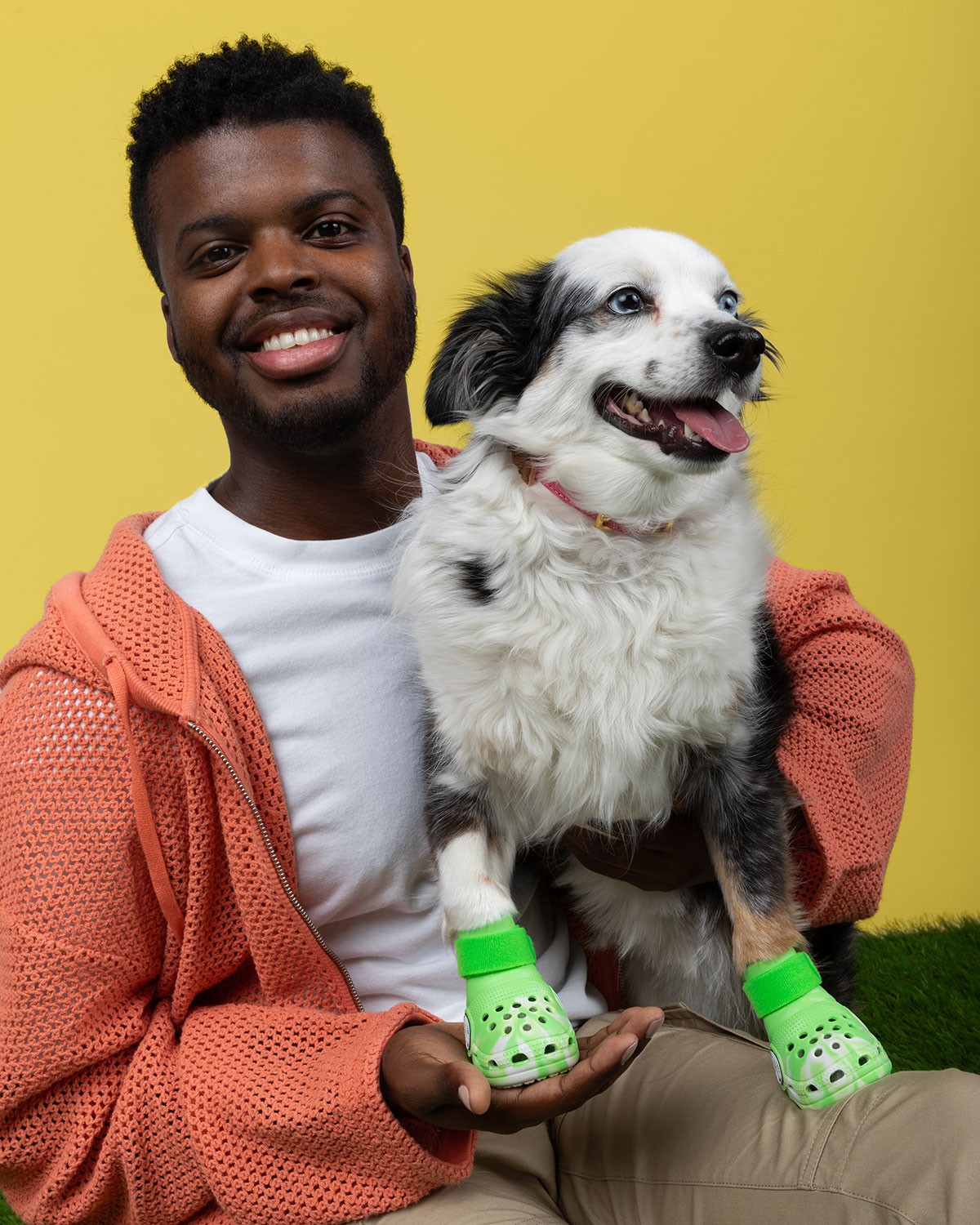 Pet Crocs For Dogs Release Date 3