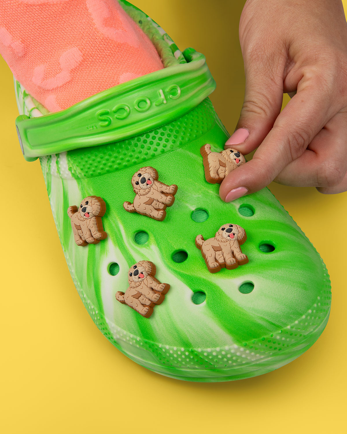 Pet Crocs For Dogs Release Date 8