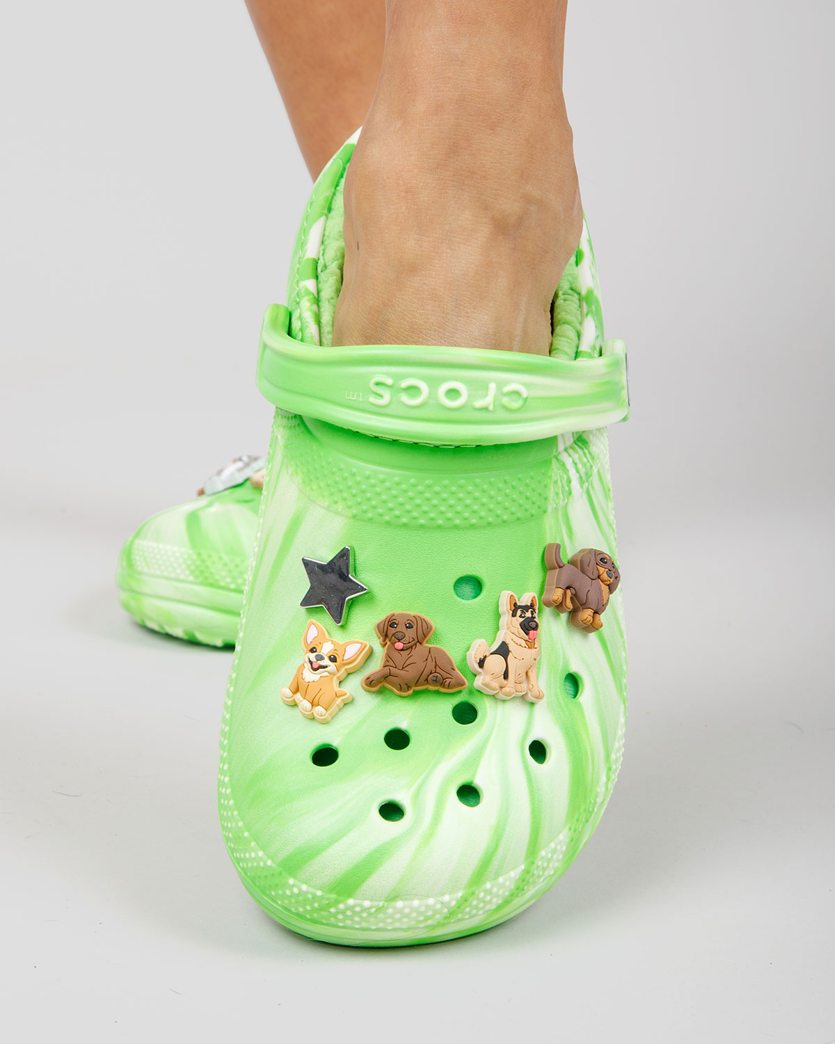 Pet Crocs For Dogs Release Date 9