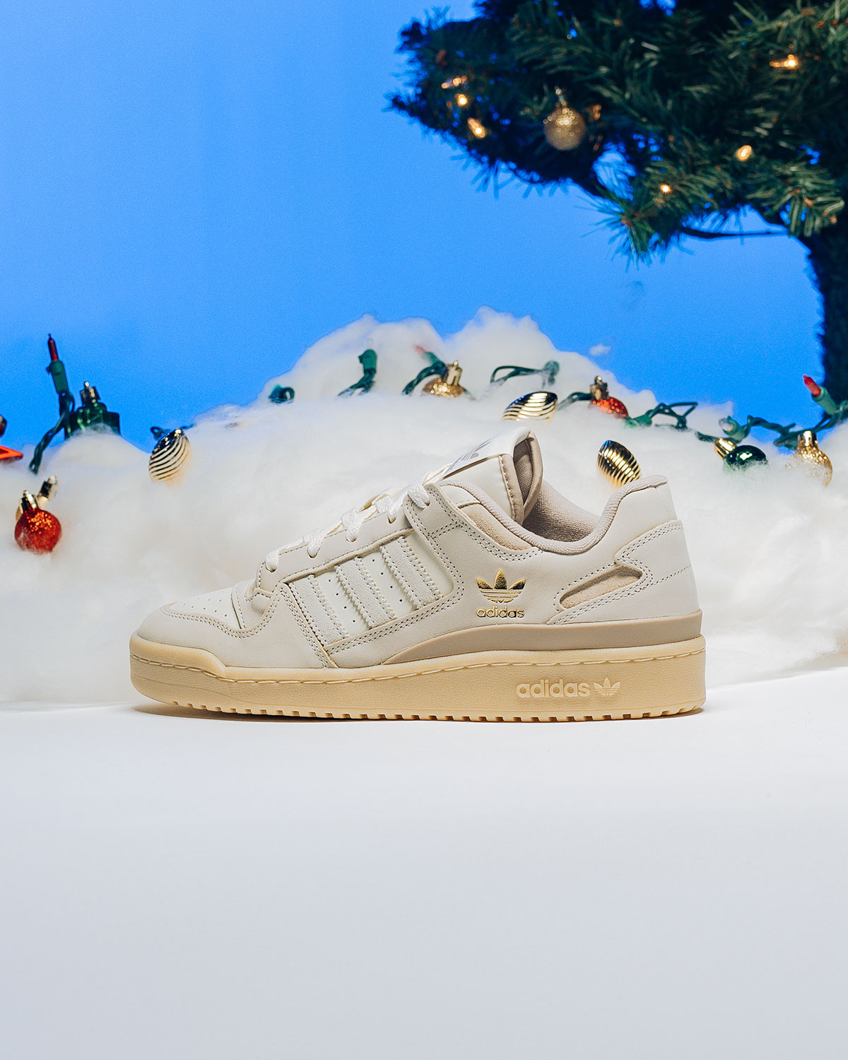 Adidas December 2024 Sponsored Forum Gallery 1