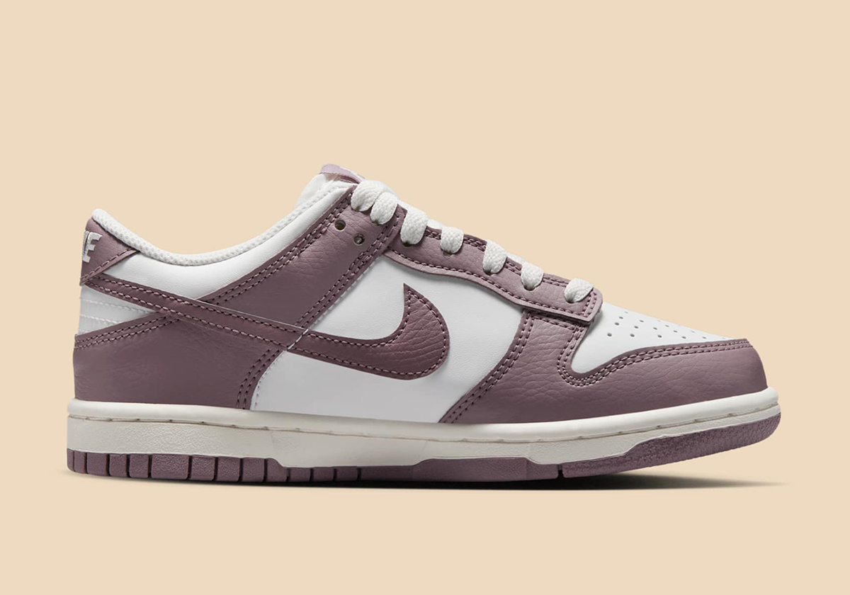 Nike Dunk Low Gs Taupe Grey Summit White Ib2887 200 5