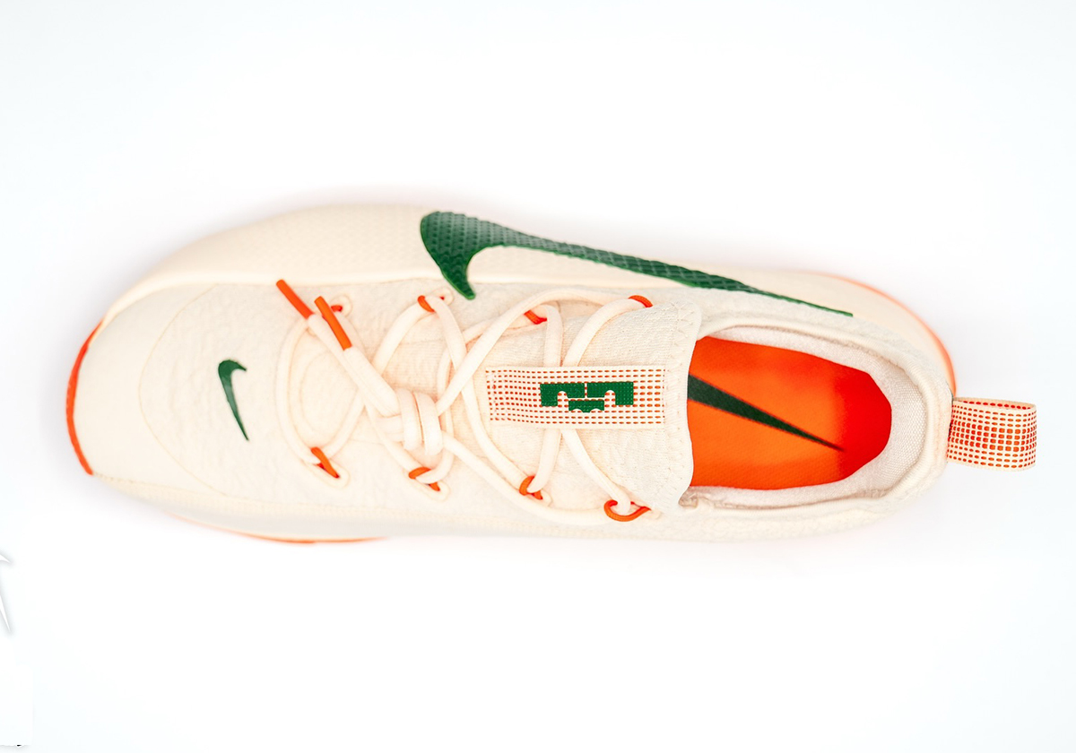 Nike Lebron Tr1 Famu Pe 1