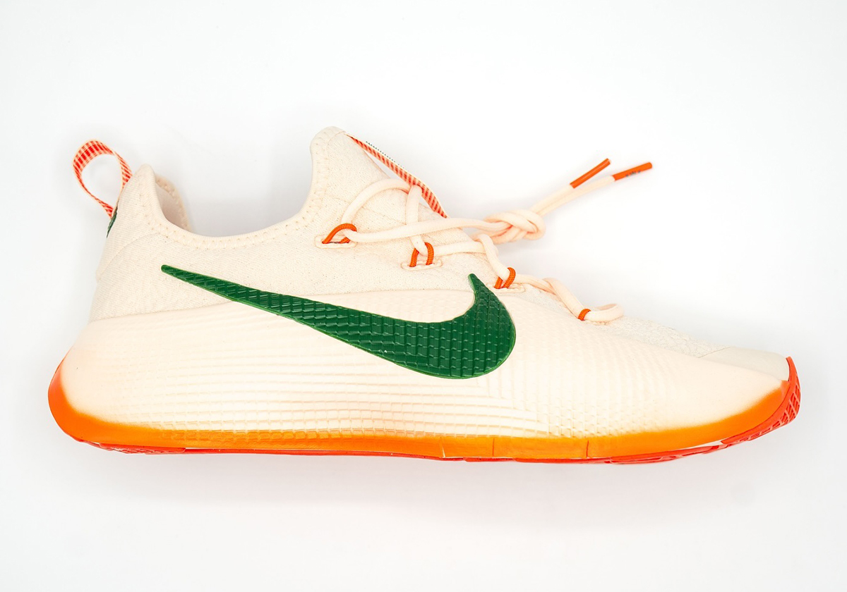 Nike Lebron Tr1 Famu Pe 2