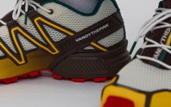 How VandyThePink Secured Salomon’s First-Ever Collaboration With A Korean Brand