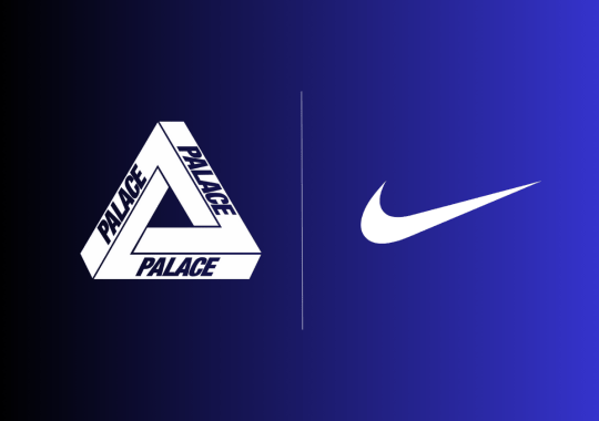 Palace Skateboards x Nike Air Max DN8 Releasing in 2025