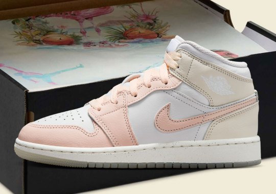 A Pink Flamingo Wearing Air Jordan 1 Mids Appears On This Unexpected Packaging