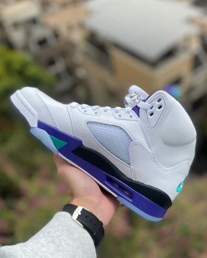 jordan 5 grape size 10