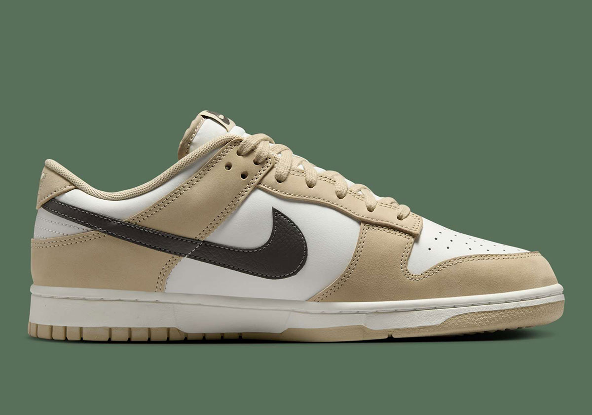 Nike Dunk Low Desert Khaki Medium Ash Ib3079 200 8