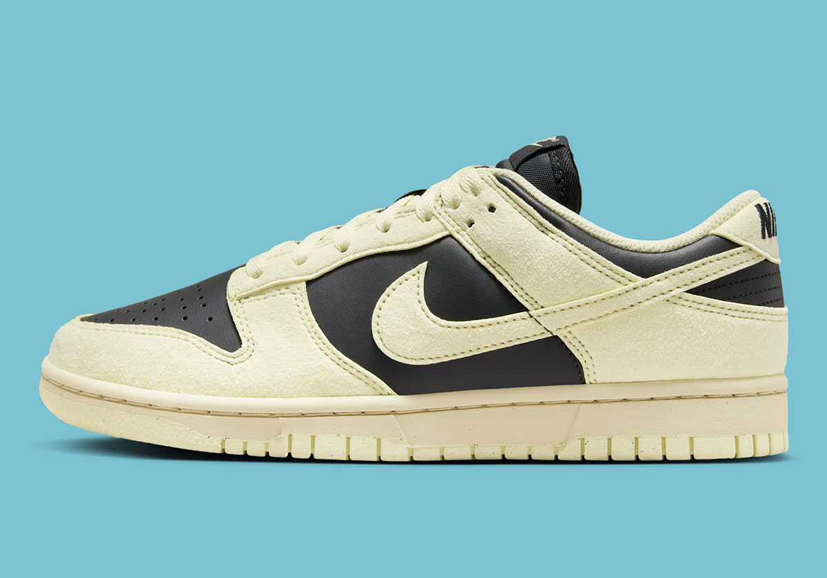 Nike Dunk Low Sail Coconut Milk Black Hj7673 005 6