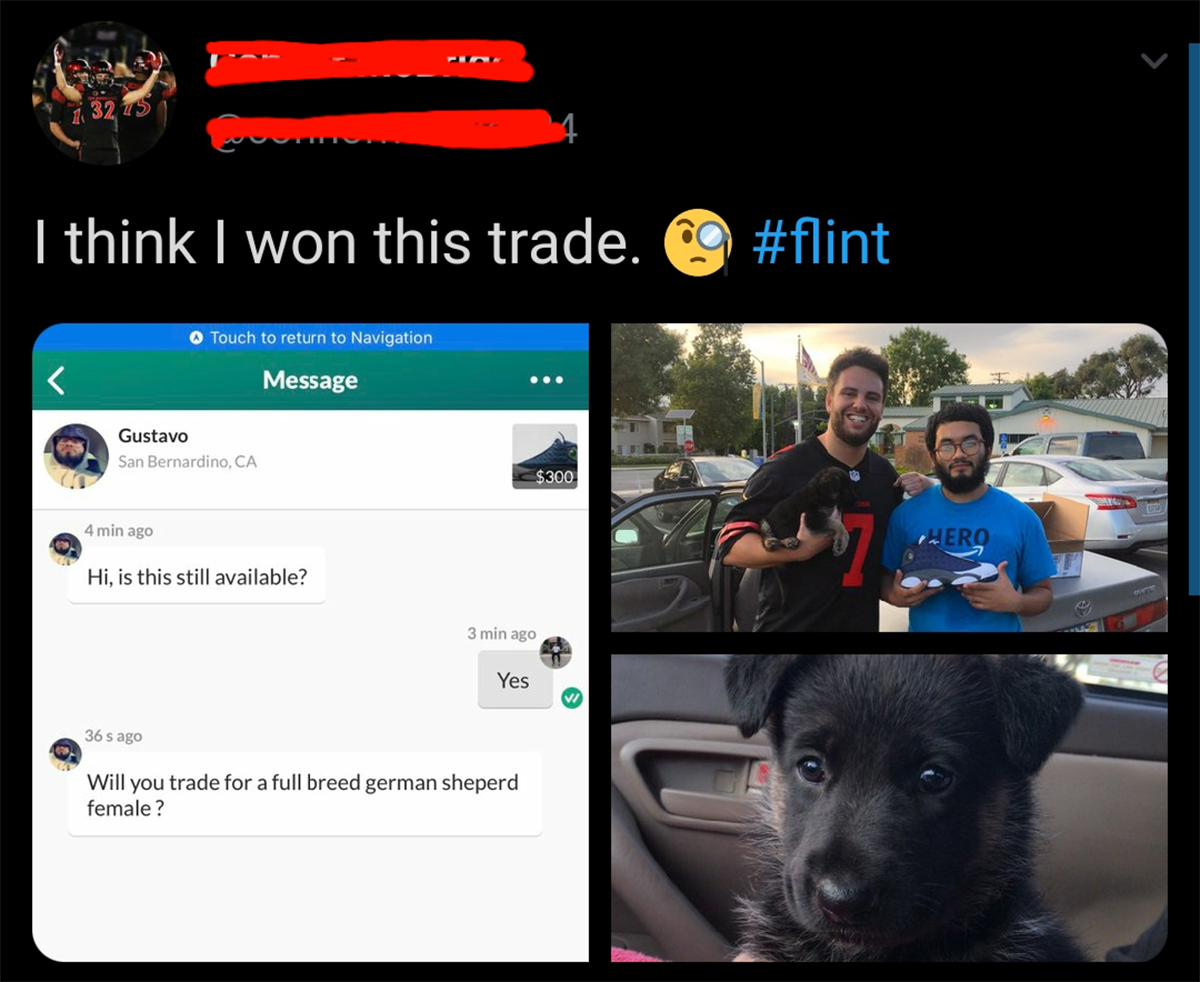 Jordan Trade For Puppies