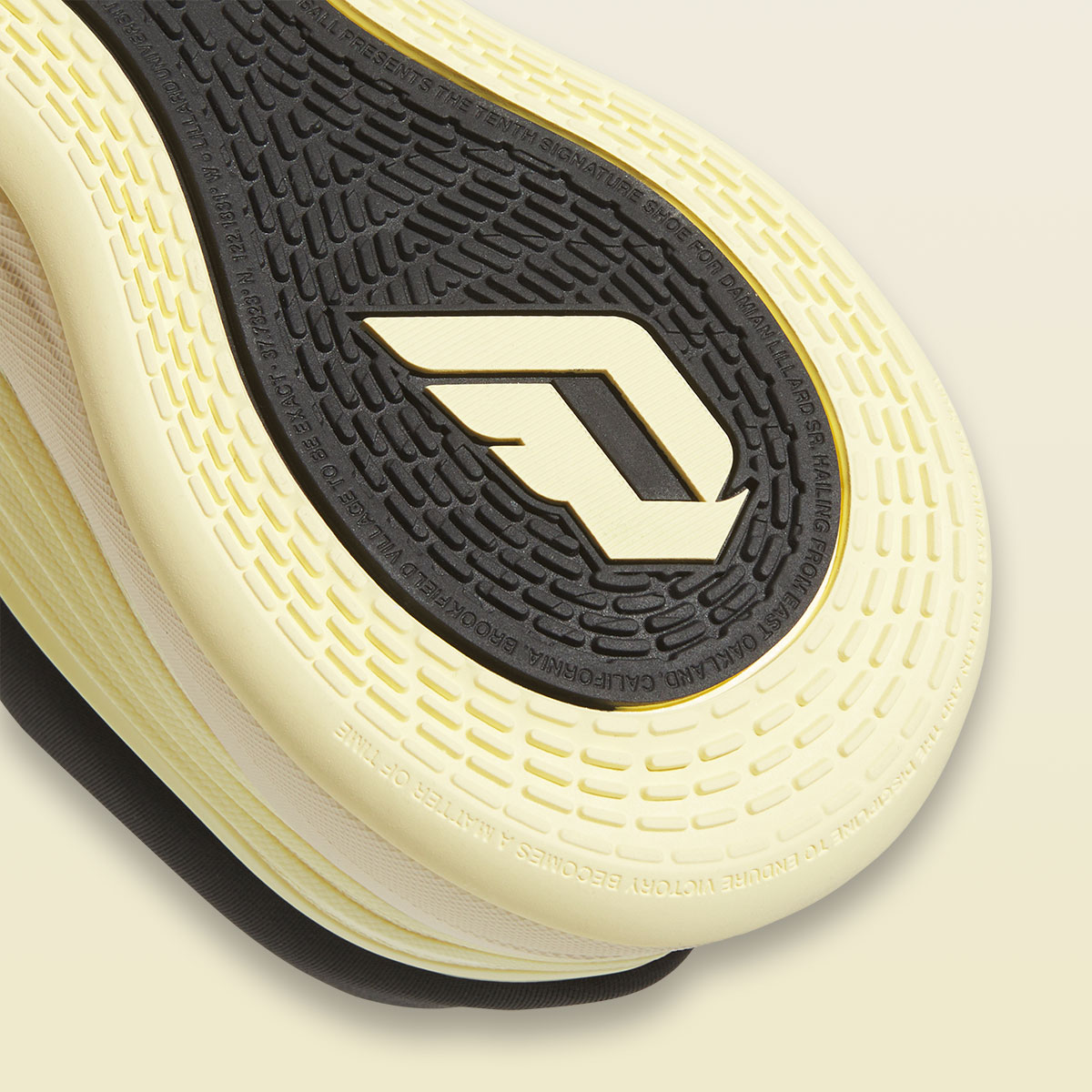 Кроссовки Adidas Dame 10, масло 7