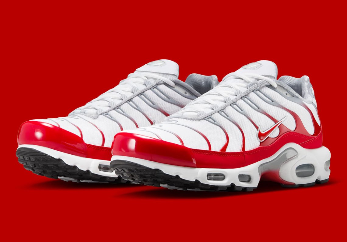 Nike Air Max Plus  display picture 1