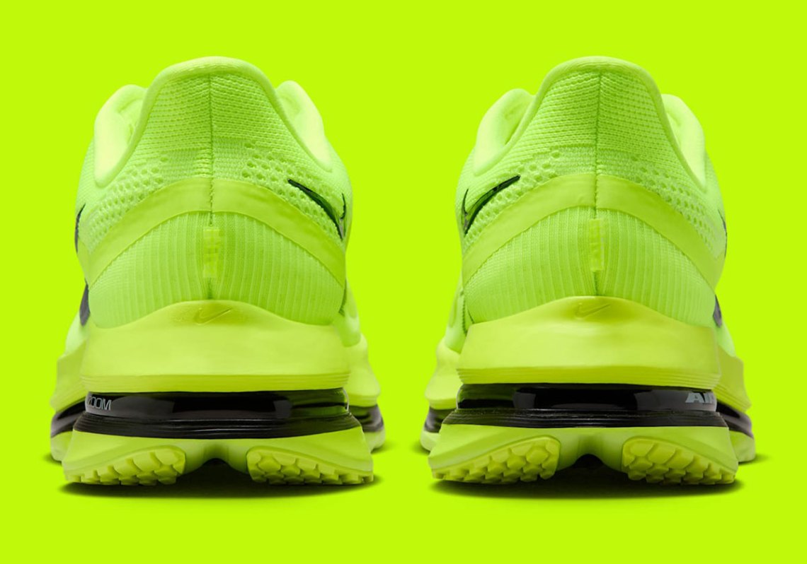Nike Peagsus Premium  display picture 3