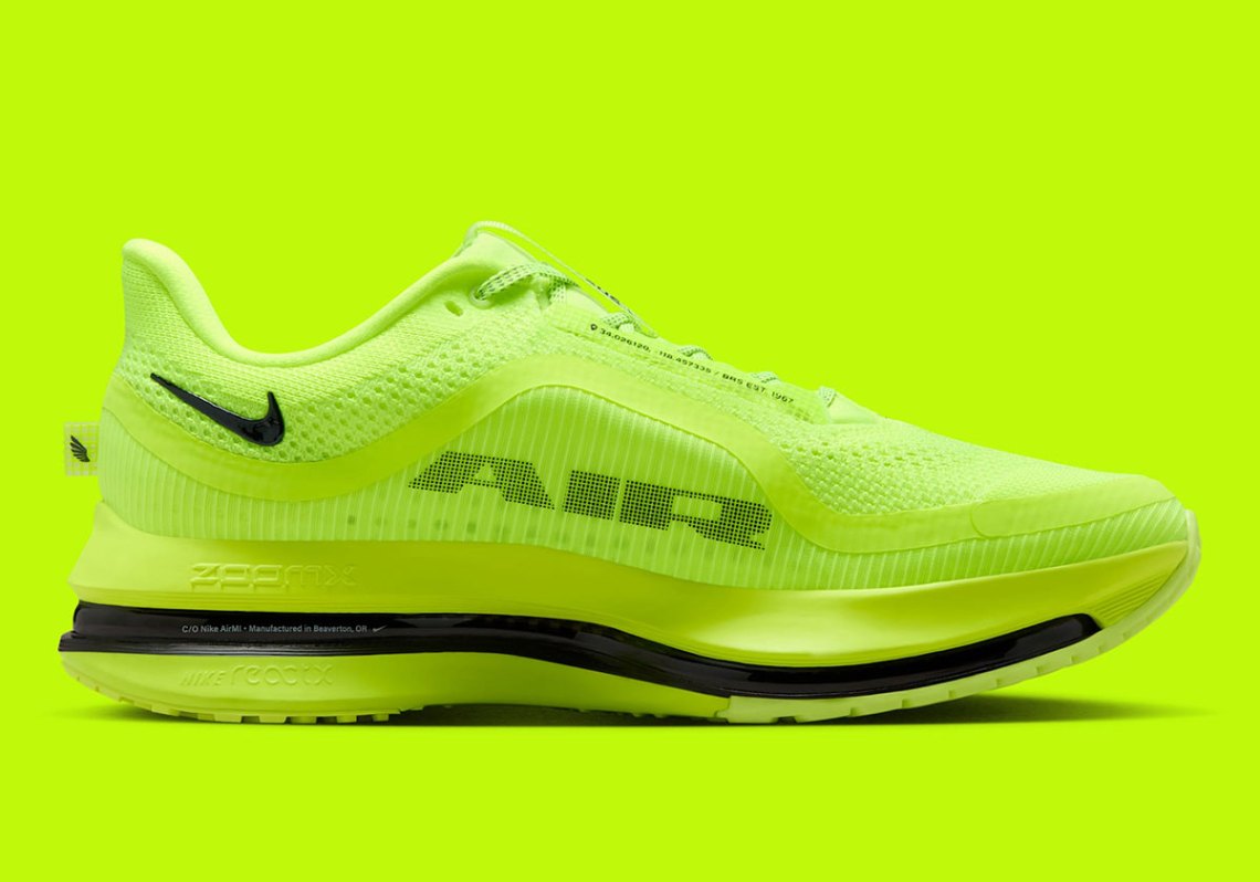 Nike Peagsus Premium  display picture 1