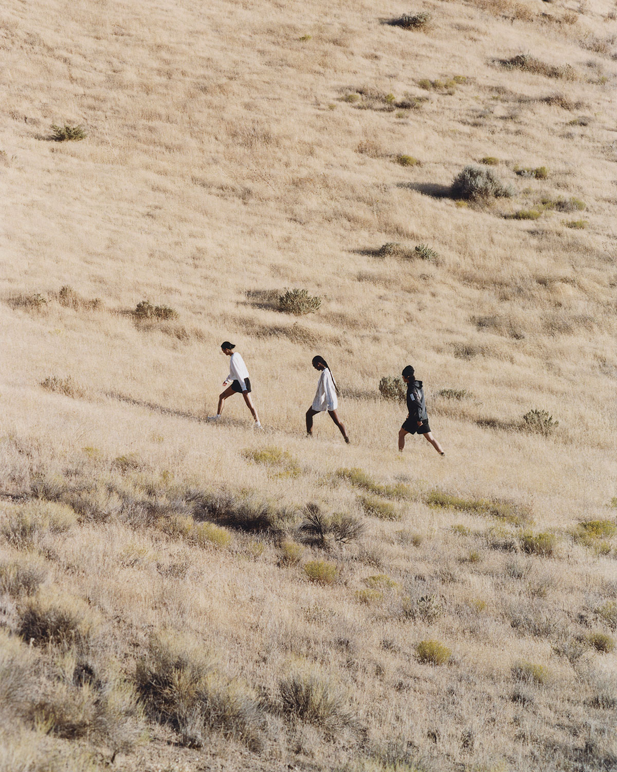 Pharrell Adidas Evo Sol Humanrace Release Date 4