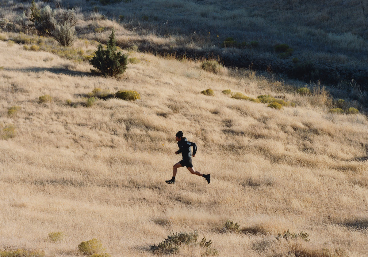 Pharrell Adidas Evo Sol Humanrace Release Date 6