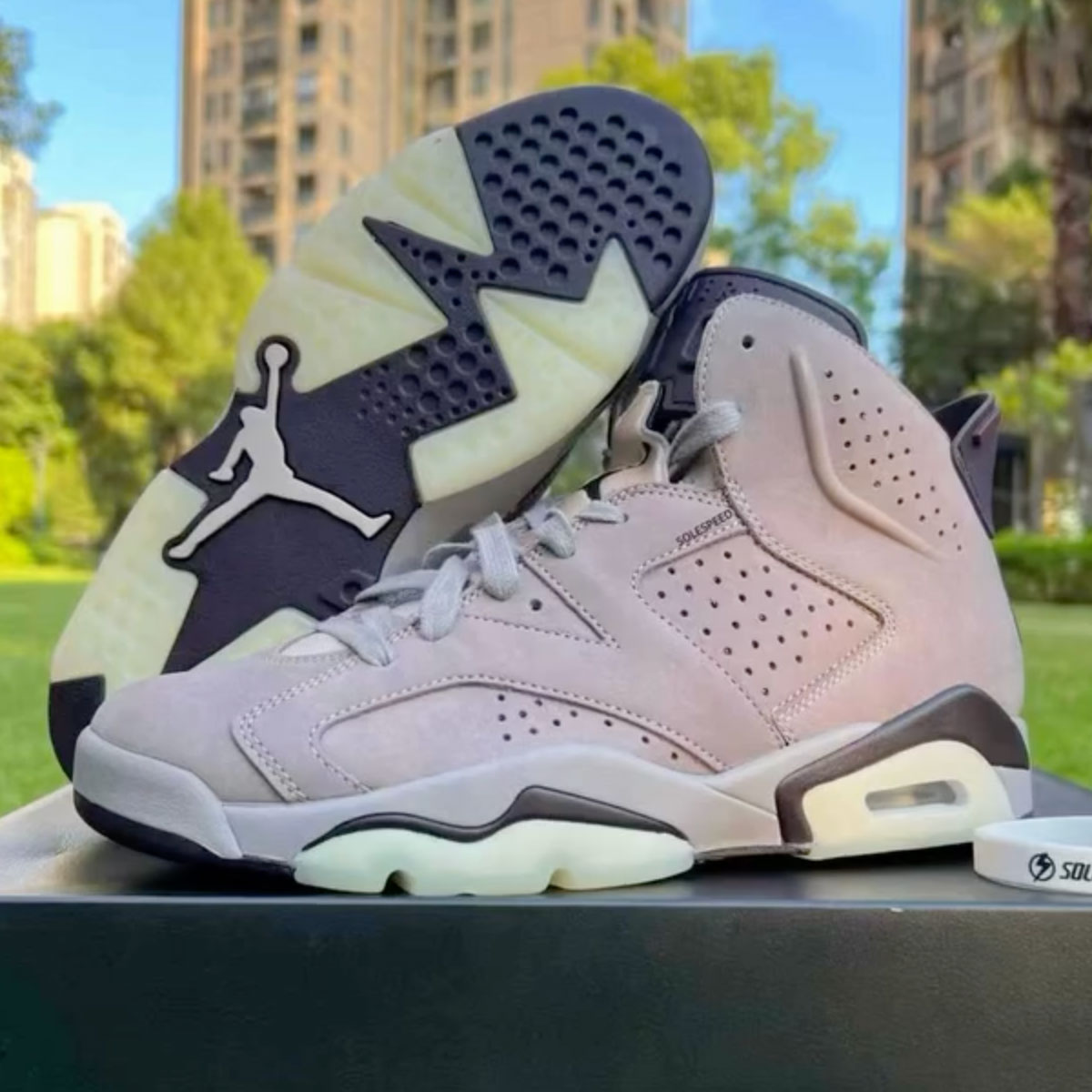 Maniere Jordan 6s 5