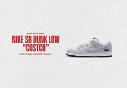 Everything You Need To Know About Costco’s Kirkland x Nike SB Dunk Low