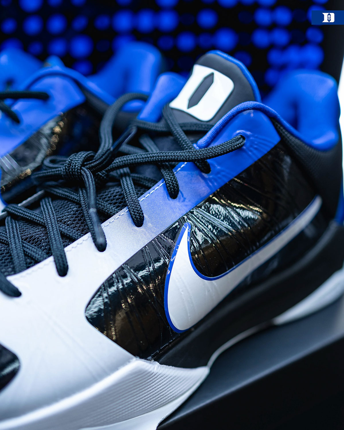 Nike Kobe 5 Protro Duke Alternate Pe 10