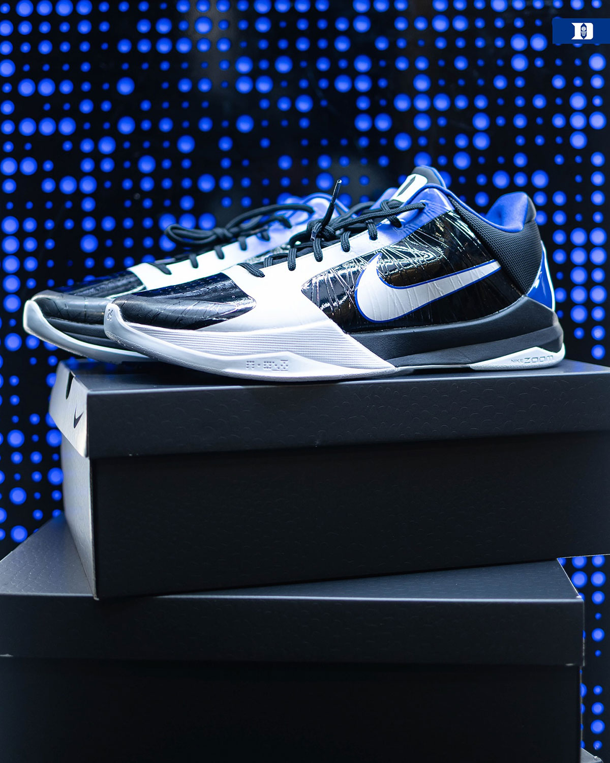 Nike Kobe 5 Protro Duke Alternate Pe 2