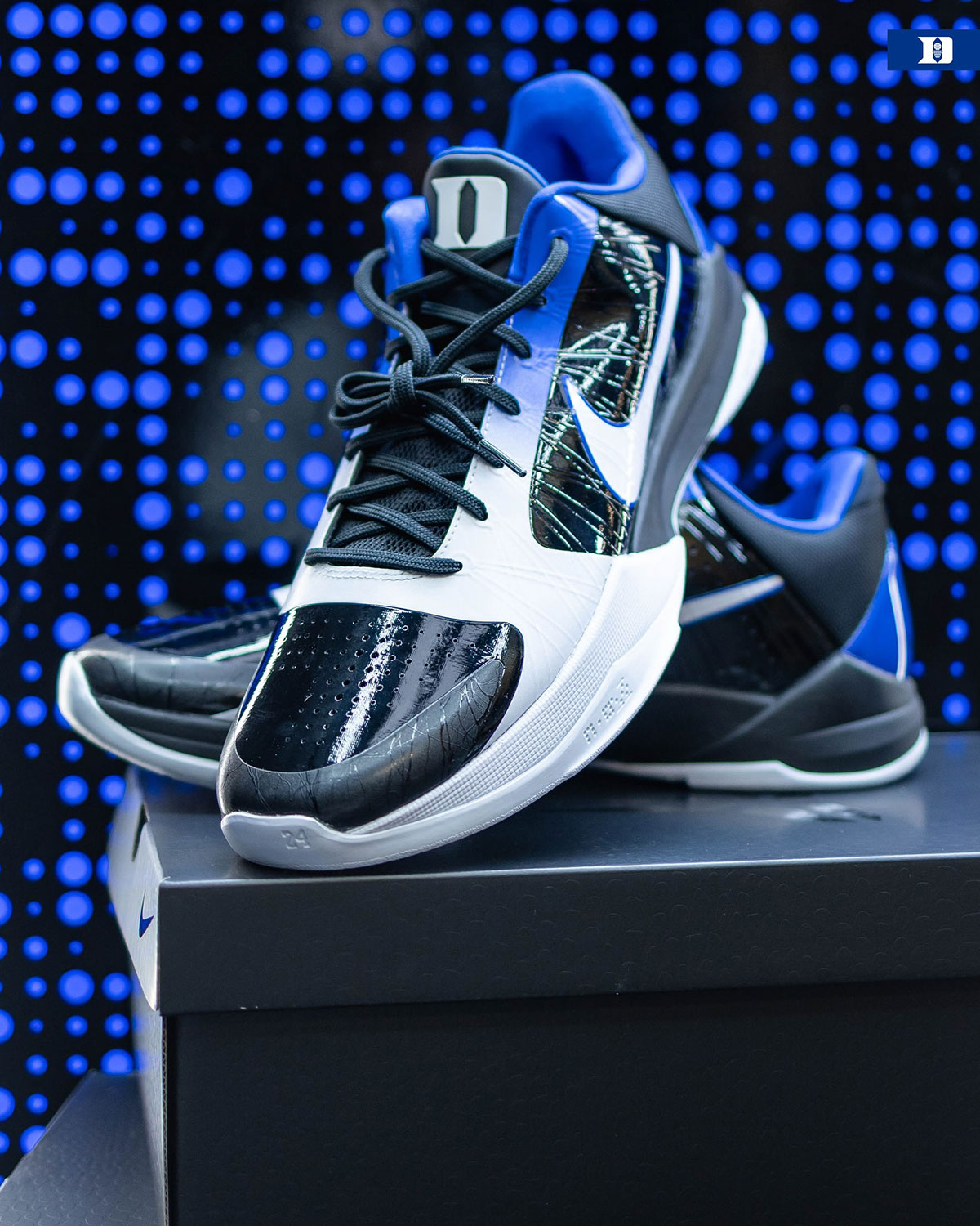 Nike Kobe 5 Protro Duke Alternate Pe 3