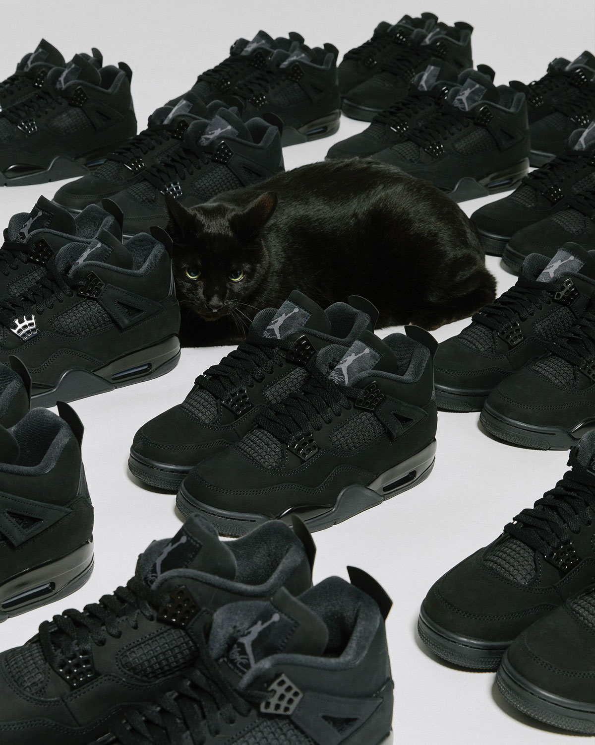 Black Cat Jordan 4 Release Info 1