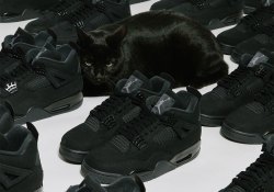 The Air Jordan 4 “Black Cat” Is Restocking On December 5th