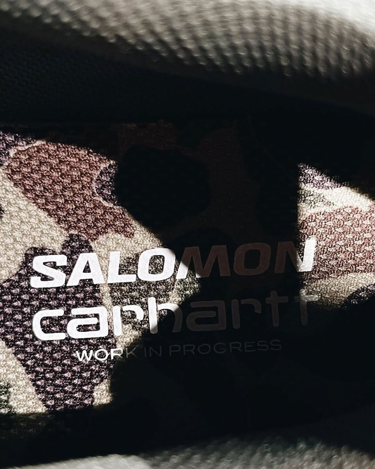 Carhartt Wip Salomon X Alp 1