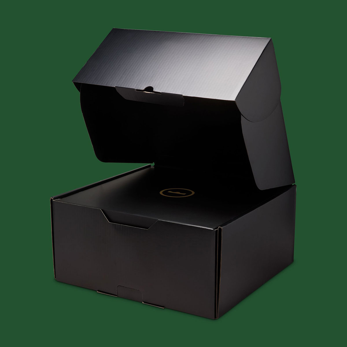 Nike Lebron 23 From This Point Forward Ib9563 101 10