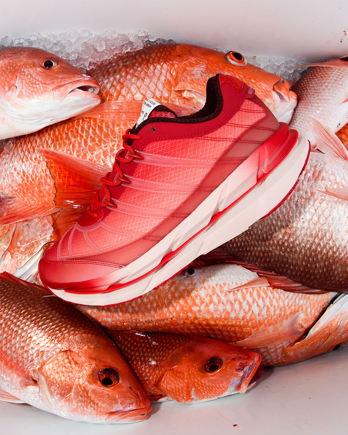 Sneaker Politics Adidas Harmony Red Snapper Hp3634 3