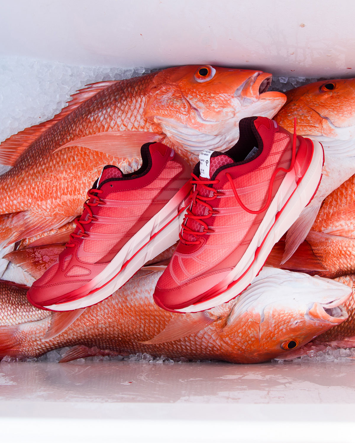 Sneaker Politics Adidas Harmony Red Snapper Hp3634 6