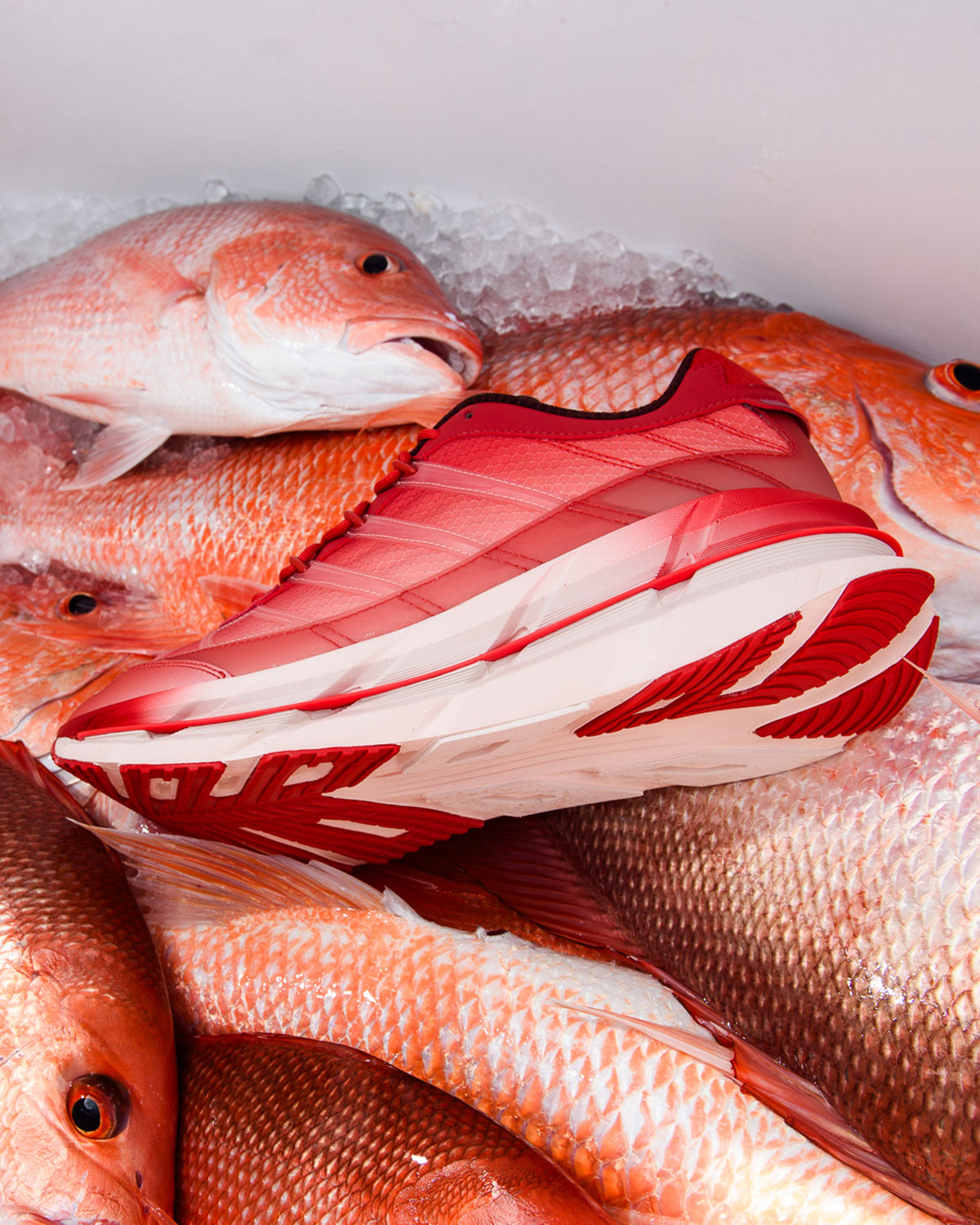 Sneaker Politics Adidas Harmony Red Snapper Hp3634 7