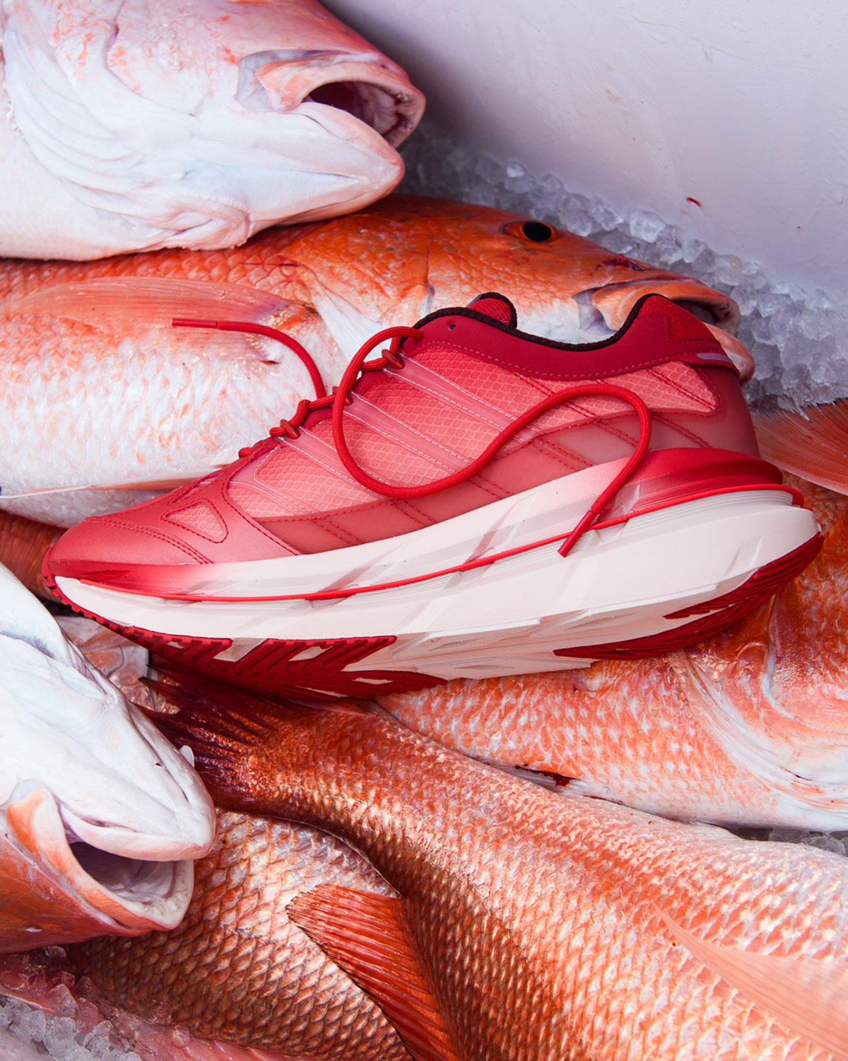 Sneaker Politics Adidas Harmony Red Snapper Hp3634 9