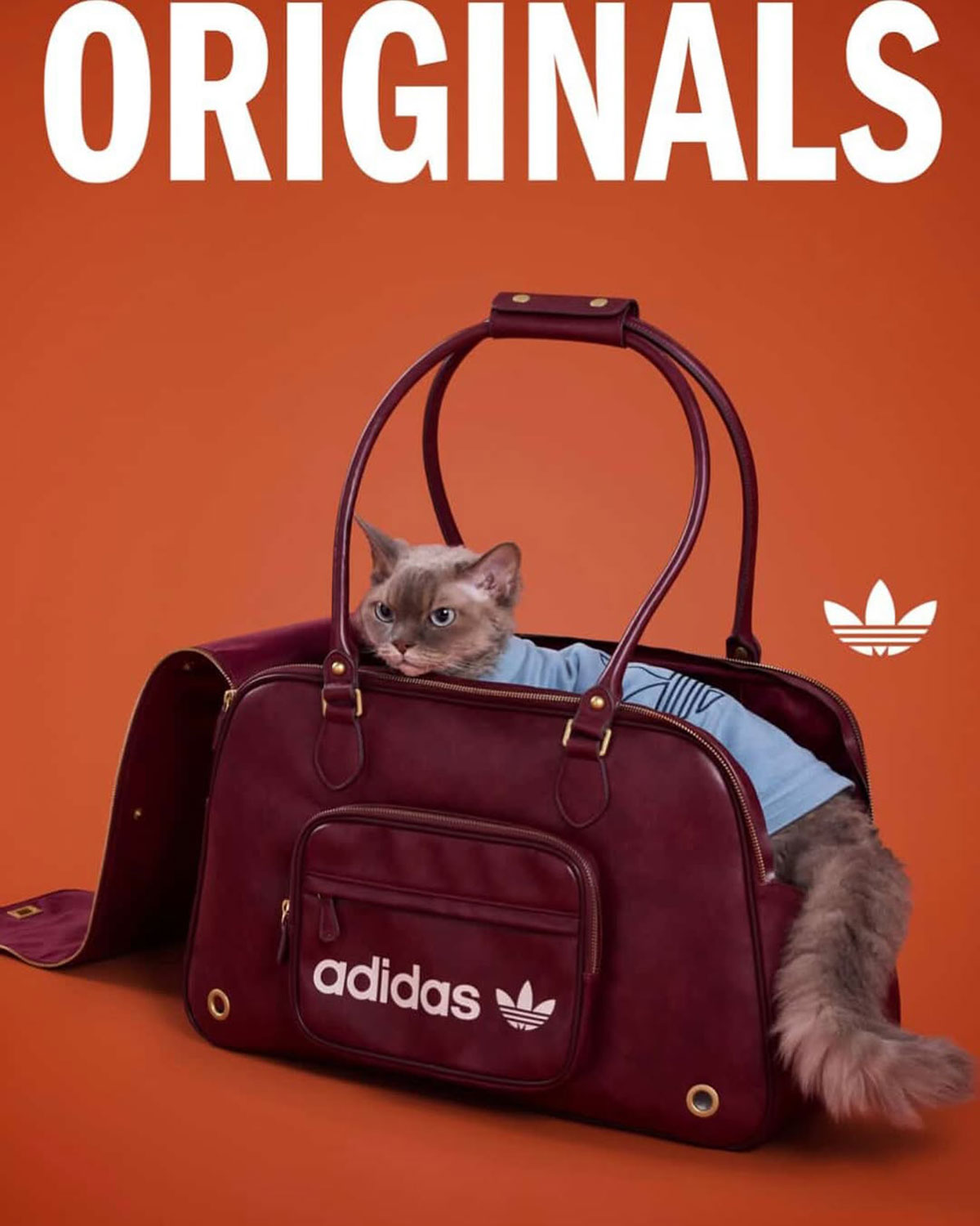 Adidas Pet Collection Chinese New Year 2026 10