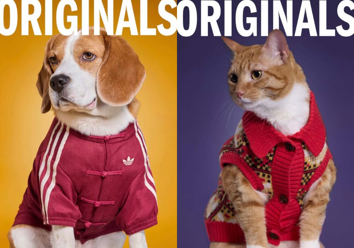 adidas Made It's Most-Wanted Apparel Item For Pets