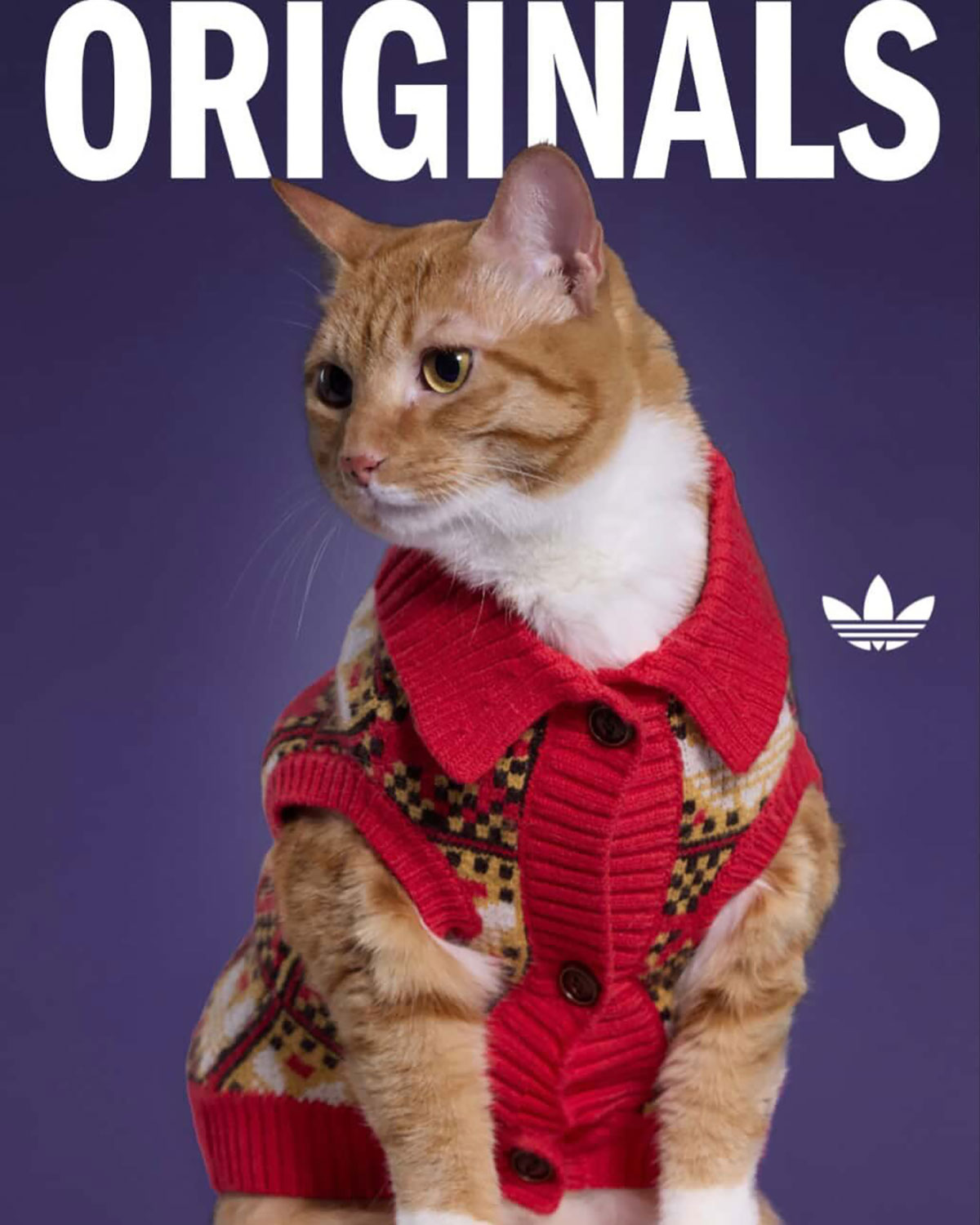 Adidas Pet Collection Chinese New Year 2026 3