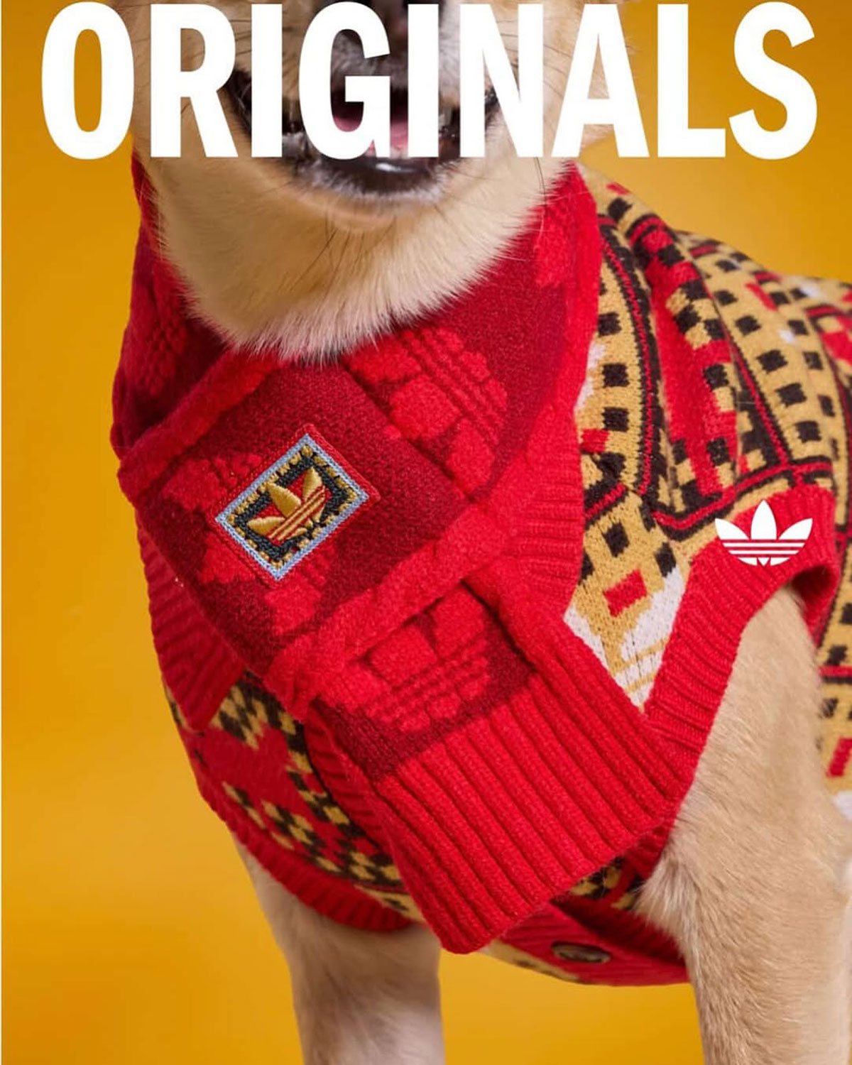 Adidas Pet Collection Chinese New Year 2026 8