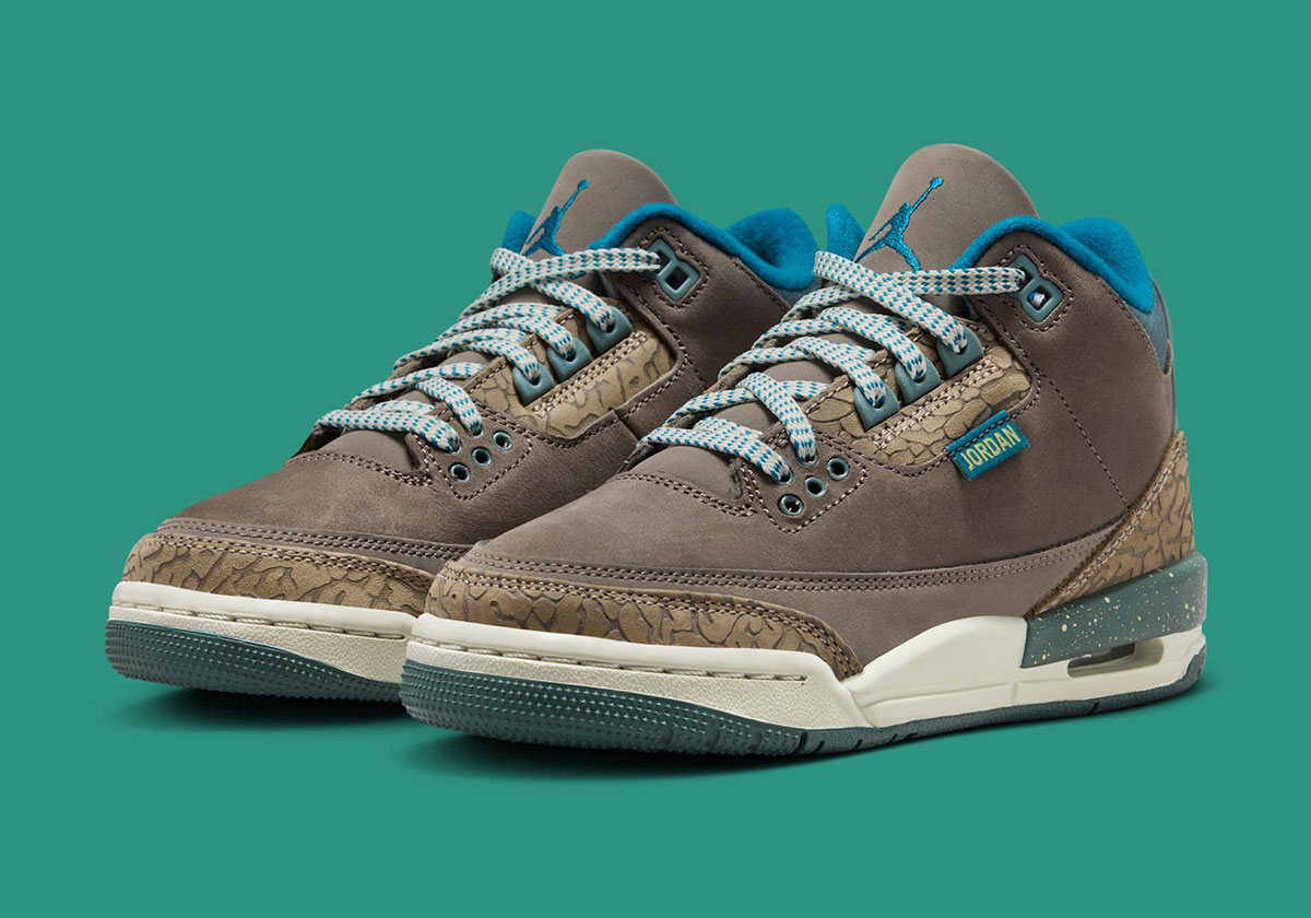 Air Jordan 3 Gs We Outside Ib7066 001 6